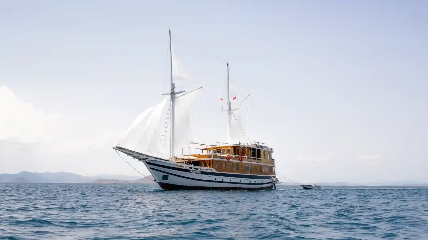 White phinisi under sail