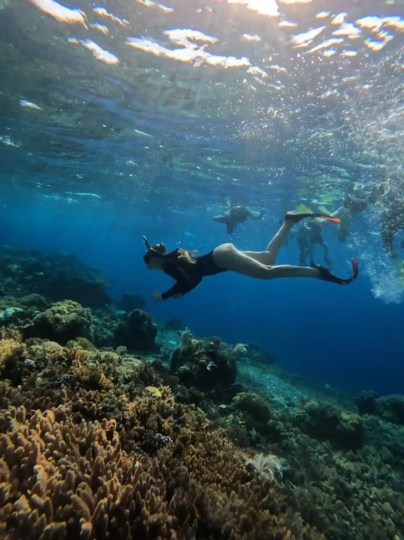 Snorkeller over a coral reef