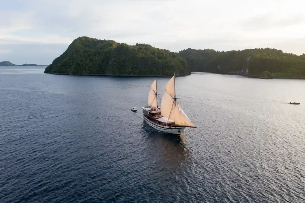 Phinisi under sail beside a green headland on a calm sea