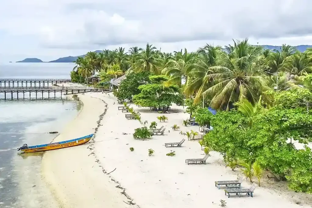 Speedboat beached beside a palm-lined island shore and jetty